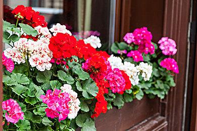 传闻：万代偷工减料 导致与《龙珠斗士Z》开发商关系不睦